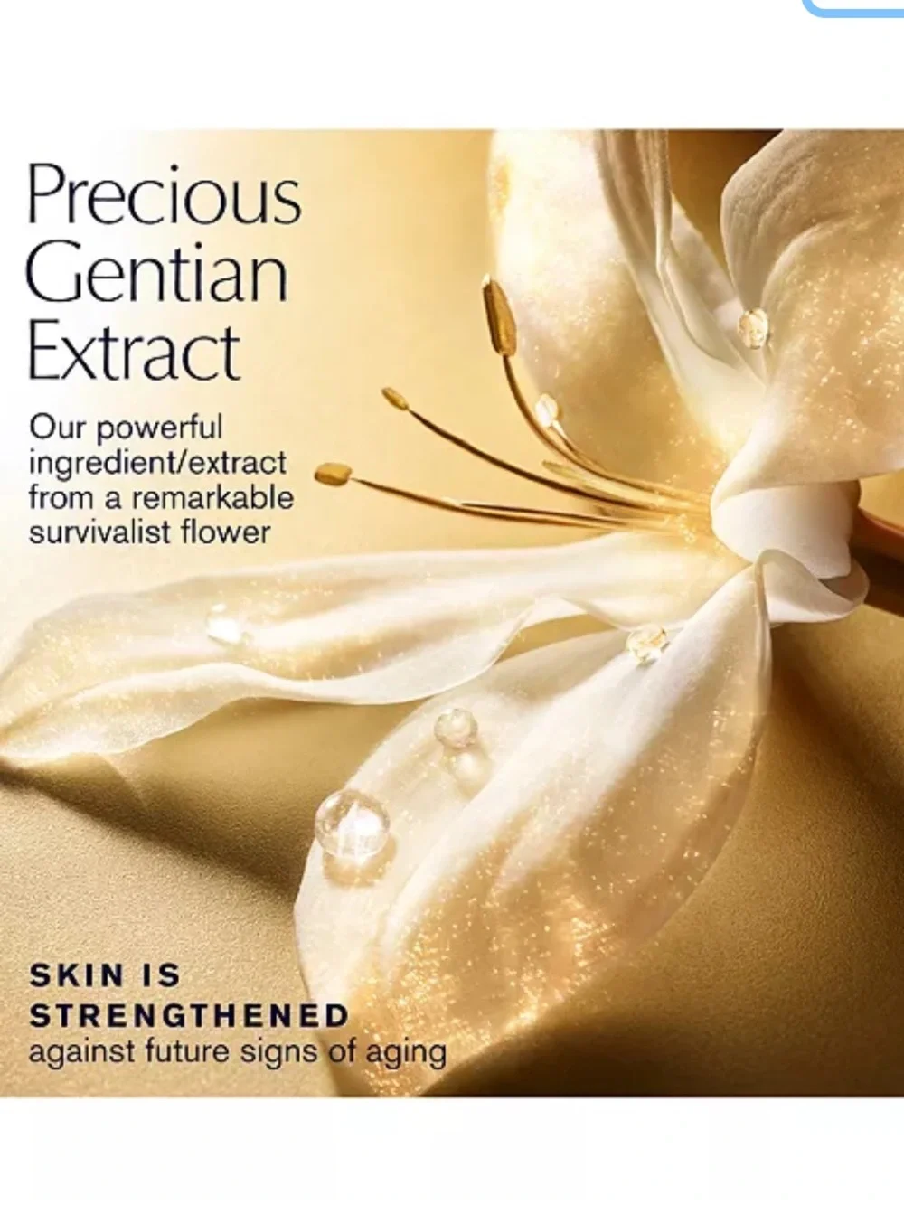 Estee Lauder Re-Nutriv Gold Skincare Set